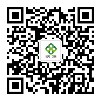 湛江沃噻網絡科技有限公司 - 湛江小程序,湛江微信運營,湛江小程序開發公司,湛江微商城,湛江包裝設計,湛江百度推廣,湛江品牌策劃,湛江網站建設
